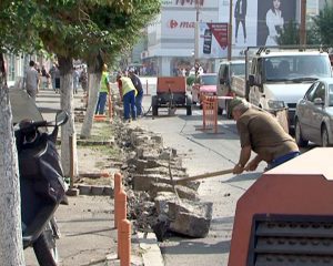 CE-AVEŢI CU BIETELE BORDURI ? MUNCITORII TABĂRĂ PE ELE CU PICAMERELE