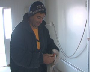 LUCREAZĂ VARA LA MINUS 18 GRADE! CEA MAI RĂCOROASĂ MESERIE DIN BUZĂU