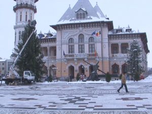 UN BRAD DE CRĂCIUN ÎN PIAŢA DACIA, UNUL ÎN PARCUL CRÂNG, CADOU PENTRU BUZOIENI DIN PARTEA COMUNEI LUPENI DIN HARGHITA 