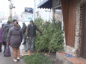 AU APĂRUT PRIMII BRAZI DE CRĂCIUN. OFERTĂ BOGATĂ, PREŢURI DECENTE,  CLIENŢI PUŢINI 