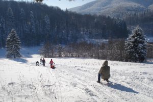 OFERTE IEFTINE DE REVELION, ÎN TABERELE DIN JUDEŢ. ARBANASI ŞI POIANA PINULUI, CELE MAI CAUTATE DESTINAŢII