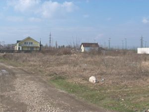 PROIECTELE DE SUFLET ALE VICELUI BÂRLĂ