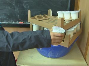 NEREGULI LA CORN ŞI LAPTE