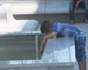 COD GALBEN LA BUZĂU. ARŞIŢA SAHARIANĂ LOVEŞTE JUDEŢUL