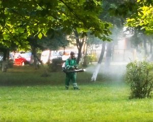 LUPTA CONTRA ŢÂNŢARILOR. O NOUĂ PROCEDURĂ VA FI FOLOSITĂ LA BUZĂU