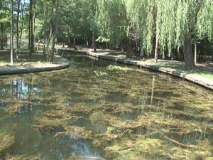 DE LUNI SE TRECE LA CURĂŢAREA HELEŞTULUI DIN CRÂNG. AU AVUT PRIORITATE PARCURILE TINERETULUI ŞI MARGHILOMAN