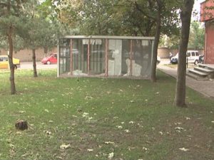 DISPARE PĂRCULEŢUL? UN CONTAINER A FOST AMPLASAT ILEGAL PE SPAŢIUL VERDE