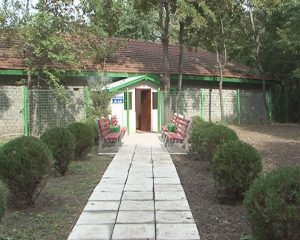 ŞAH ŞI TABLE, INCLUSIV PE VREME REA. CAMERĂ AMENAJATĂ ÎN CRÂNG PENTRU PENSIONARI