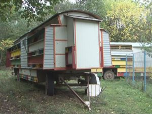 MIERE BUNĂ, DAR PUŢINĂ. ÎNCĂ UN AN SLAB PENTRU APICULTORI