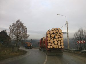 SUPRATONAJUL DISTRUGE CĂILE RUTIERE. MĂSURI LUATE DE AUTORITĂŢI ÎMPOTRIVA TRANSPORTATORILOR DE LEMNE