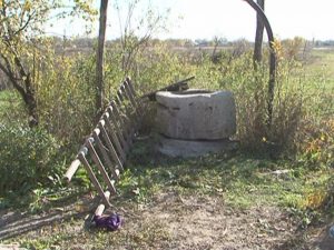 DOI BUZOIENI AU MURIT DUPĂ CE AU CĂZUT ÎN FÂNTÂNĂ: O FEMEIE LA CLONDIRU ŞI UN BĂRBAT LA LUNCA