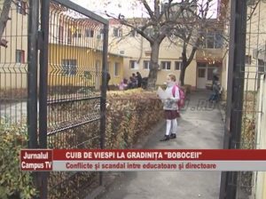 CUIB DE VIESPI LA GRĂDINIŢA "BOBOCEII". CONFLICTE ȘI SCANDAL ÎNTRE EDUCATOARE ŞI DIRECTOARE.