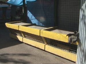 ÎN MICRO 14 NU E PIAŢĂ DE LACTATE. CLIENŢII O SOLICITĂ, ADMINISTRAŢIA SUSŢINE CĂ NU SE JUSTIFICĂ