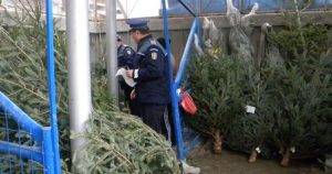 CONTROALE LA BRAZI. 600 DE BRAZI CONFISCAŢI ŞI 12 AMENZI