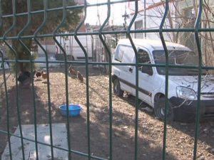 MENAJERIE DE PĂSĂRI LA GARĂ. RECLAMAŢII NUMEROASE DIN CAUZA MIROSULUI