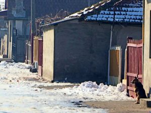 SIMILEASCA, NR. 1 ÎN TOP. AMENZI PENTRU CONSTRUCŢIILE ILEGALE