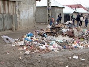 A CRESCUT UN MUNTE DE... GUNOI. FOCAR DE INFECŢIE PE STRADA GOGU VICATUS