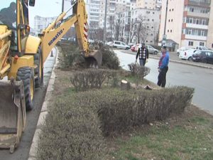 GARD VIU ELIMINAT DE PE SCUAR. AMENAJĂRI PE STRADA FRĂSINET ÎN DREPTUL CARREFOUR