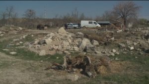 LEŞURI DE ANIMALE LA MARGINEA SATULUI. AUTORITĂŢILE AU DEMARAT ANCHETE