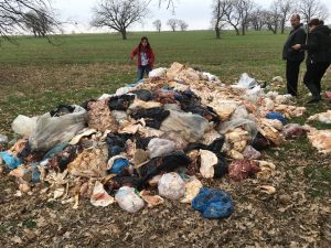 BOMBĂ ECOLOGICĂ LA RUŞEŢU. TONE DE SUBPRODUSE DE CARNE AU FOST ARUNCATE PE CÂMP