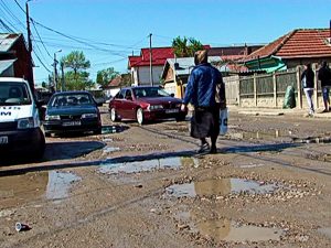 ALEEA PLOPILOR, CA-N SECOLUL al XIX-lea. GROPI, BĂLŢI, CÂINI ŞI MULTĂ FRUSTRARE