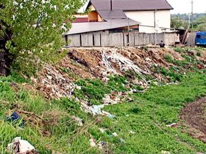MUNŢI DE GUNOAIE ÎN ZONA PODULUI VADU PAŞII. GROAPĂ DE GUNOI IMPROVIZATĂ LA INTRAREA ÎN ORAŞ