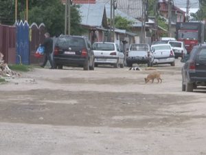 SE ASFALTEAZĂ STRADA VIILOR. ÎN DOUĂ LUNI VA FI GATA