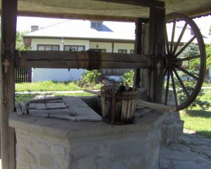 FÂNTÂNI PERICULOASE. APA FOLOSITĂ DE POPULAŢIE POATE FI INFESTATĂ