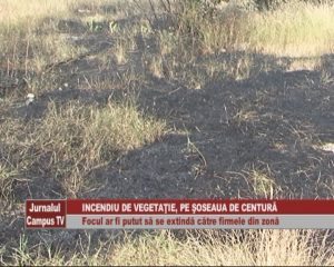 INCENDIU DE VEGETAŢIE, PE ŞOSEAUA DE CENTURĂ. FOCUL AR FI PUTUT SĂ SE EXTINDĂ CĂTRE FIRMELE DIN ZONĂ
