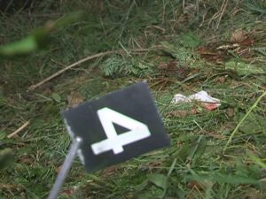 TREI TINERI, SPULBERAŢI DE UN ŞOFER IMPRUDENT. UNUL DINTRE ADOLESCENŢI, TRANSFERAT LA BAGDASAR-ARSENI