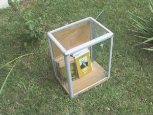 LECTURĂ, ÎN PARCUL CRÎNG. “CARTE DE DAT, CARTE DE LUAT”, PROIECT INEDIT PENTRU BUZOIENI