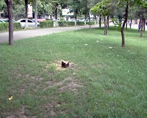 FĂRĂ CHIOŞCURI ŞI TARABE ÎN PARCURI. PROIECT INIŢIAT DE CONSTANTIN IONESCU