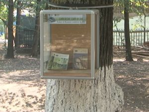 PROIECT CULTURAL EŞUAT. DISPAR CĂRŢILE DIN CRÂNG