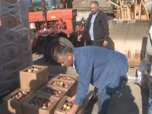 MERE PENTRU SĂRMANII BUZĂULUI. O CANTITATE URIAŞĂ DE FRUCTE A FOST DONATĂ CRUCII ROŞII