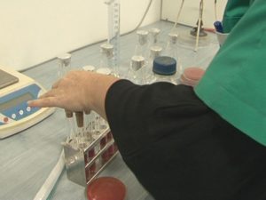 E.COLI,  DESCOPERITĂ LA BUZĂU. BACTERIA, PREZENTĂ PE O CARCASĂ DE LA UN ABATOR DE OVINE