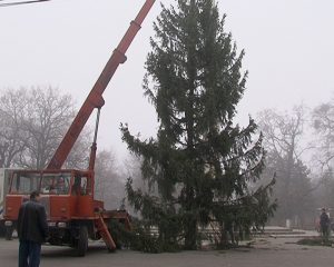 AU SOSIT POMII DE CRĂCIUN. BRAZII MUNICIPALI AU FOST INSTALAŢI LA PRIMĂRIE ŞI ÎN CRÂNG