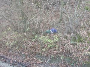 CRIMINALUL EVADAT, GĂSIT MORT LA MIEREA. CEL MAI PROBABIL, A DECEDAT DIN CAUZA FRIGULUI