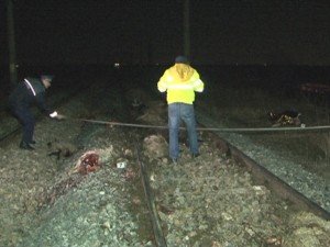 TERIFIANT! ACCIDENT FEROVIAR LA VADU-PAŞII. UN CIOBAN A FOST LOVIT DE TREN, ALTE 40 DE OI, OMORÂTE PE ŞINE