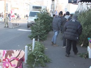 A ÎNCEPUT GOANA DUPĂ BRAZI. POMI DE CRĂCIUN PE ALESE, PREŢURI DIVERSE