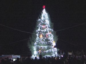 O, BRAD FRUMOS... LA MONTEORU A FOST INSTALAT PRIMUL BRAD DE CRĂCIUN