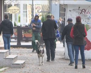 CAMPIONI LA ŞOMAJ. BUZĂUL RĂMÂNE ÎN TOP