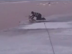 MISIUNE SPECIALĂ A POMPIERILOR. AU SCOS O LEBĂDĂ DINTR-UN LAC ÎNGHEŢAT