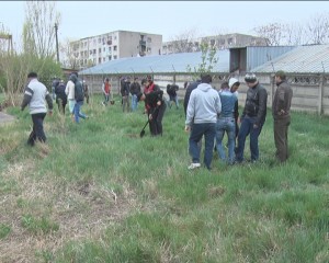 AU PLANTAT CÂTE UN COPAC PENTRU POSTERITATE. 50 DE STEJARI, PENTRU 50 DE ANI, LA LICEUL DIMITRIE FILIPESCU