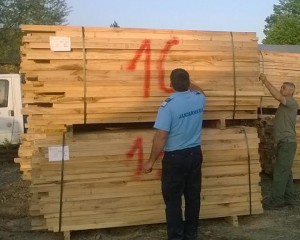 JANDARMII, CU OCHII PE TRANSPORTATORII DE LEMNE. AU FĂCUT PÂNĂ ACUM 62 DE CONTROALE
