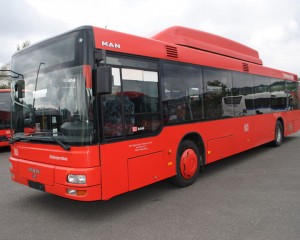 VIN AUTOBUZELE. PRIMELE 15 SUNT AŞTEPTATE ÎN MAXIM O LUNĂ