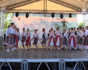 S-A DESCHIS DRĂGAICA! INTRAREA LA BÎLCIUL TRADIŢIONAL AL BUZĂULUI, UN LEU