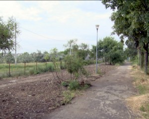 DEFRIŞARE ÎN PARC. O LUCRARE ÎN PARCUL TINERETULUI A PUS LA PĂMÂNT COPACI ŞI ARBUŞTI