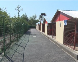 ADĂPOST CANIN MODERN. PRIMĂRIA A INAUGURAT UN PADOC CU 400 DE LOCURI