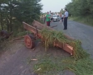 ACCIDENT GRAV LA GHERĂSENI. UN BĂRBAT RĂNIT, UN CAL ABANDONAT ÎN ŞANŢ