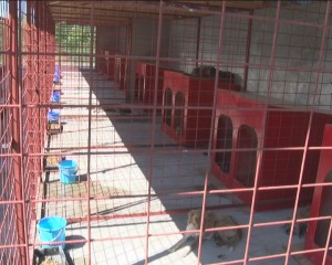 RIDICAŢI ŞI DUŞI ÎN NOUL PADOC. TELEFON DISPECERAT ECARISAJ: 0722.60.00.99